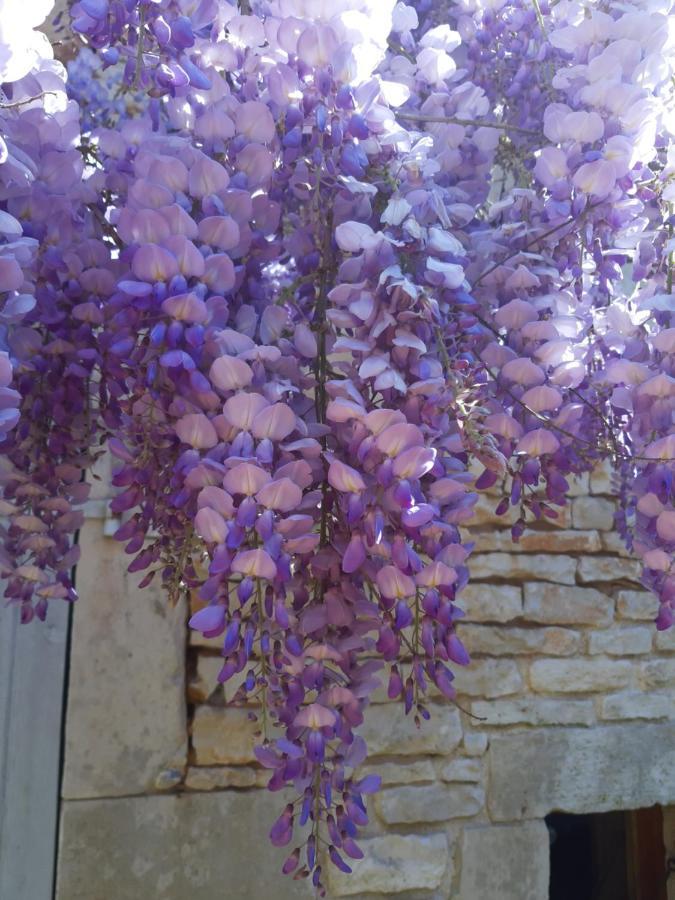 Wisteria Cottage Les Adjots Экстерьер фото